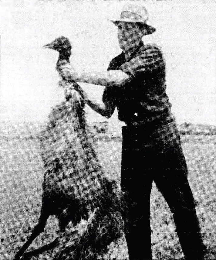 A black-and-white photograph of an Australian farmer holding up a single killed emu by the neck.